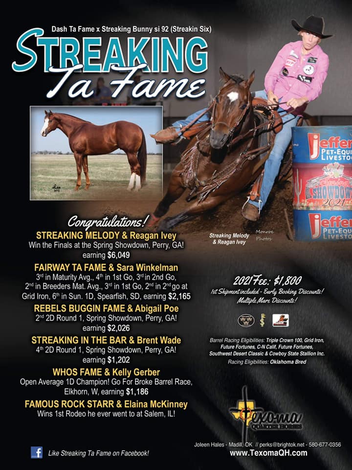 Streaking Ta Fame Legends of the South Stallion Incentive Program