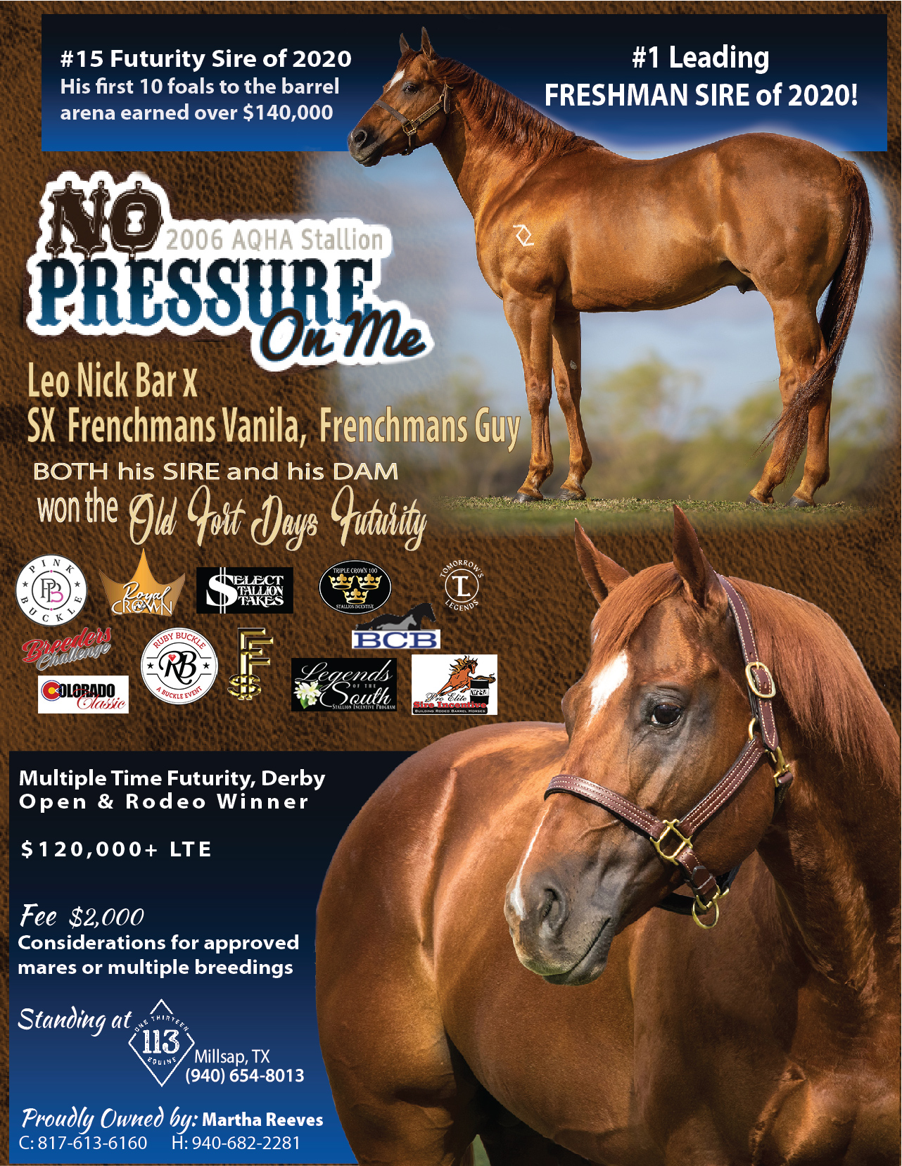 No Pressure On Me Legends of the South Stallion Incentive Program